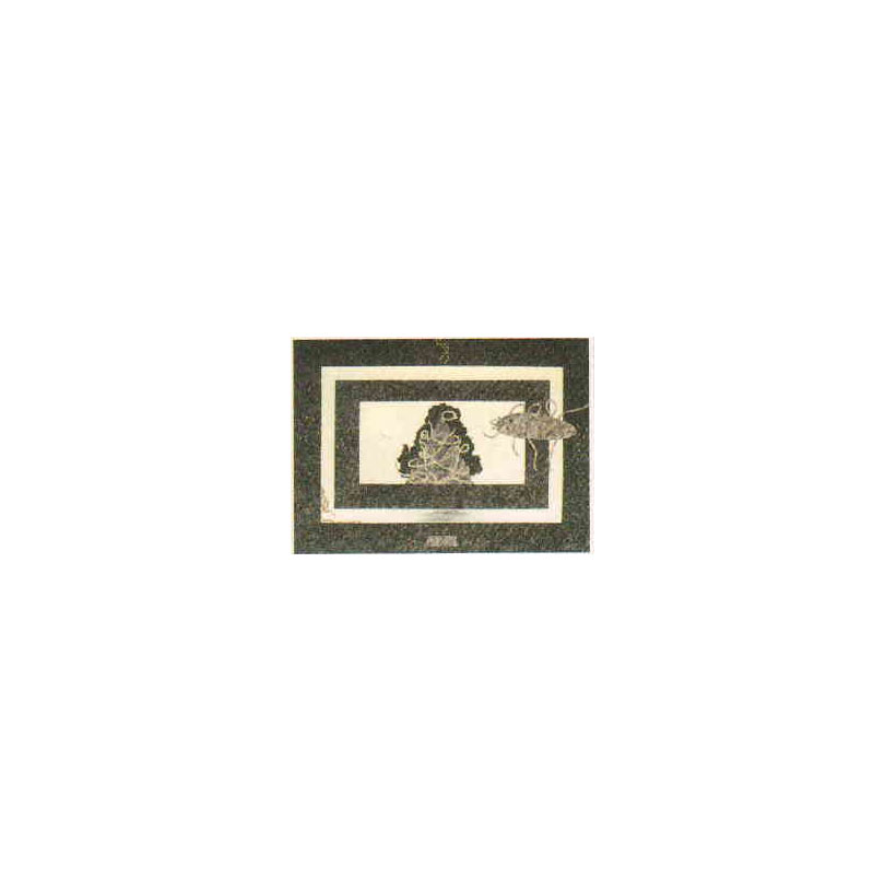 41-jpg